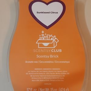 NIB SCENTSY Brick
